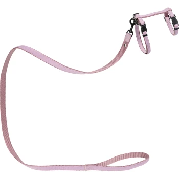 Set aus einem hellrosa Haustiergeschirr und einer Leine, mit verstellbaren Riemen und Metallclips für eine sichere Befestigung.