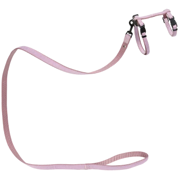 Ensemble harnais et laisse pour animaux de compagnie de couleur rose clair, avec des sangles ajustables et des clips en métal pour un attachement sécurisé.