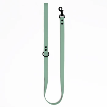 Cityleine Biothane Sage Eine mintgrüne Hundeleine mit einem schwarzen Clip und verstellbarem Schnallenverschluss, vor einem weißen Hintergrund präsentiert.