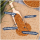 Eine Holzschaufel mit goldenen Samen auf Jute, beschriftet mit "proteinreich," "natürlich," "schnabelgerecht," und "energiespendend."