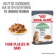 Royal Canin Digestive kattenvoer zakje met een bord met malse vleesstukjes in saus, dat 95% gezonde ontlasting kwaliteit in 10 dagen promoot.