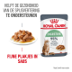Royal Canin Digestive kattenvoer zakje met een bord met malse vleesstukjes in saus, dat 95% gezonde ontlasting kwaliteit in 10 dagen promoot.