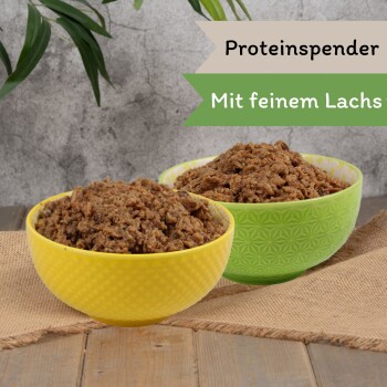 Eine Edelstahlschüssel für Haustierfutter, gefüllt mit hochwertigem Nassfutter für Katzen, mit einem goldenen "PREMIUM"-Label in der oberen Ecke.