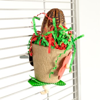 Ein buntes Haustierspielzeug, das einem Blumentopf ähnelt, gefüllt mit grünem und rotem Papier, mit einer dekorativen Blume und einer hängenden Glocke.