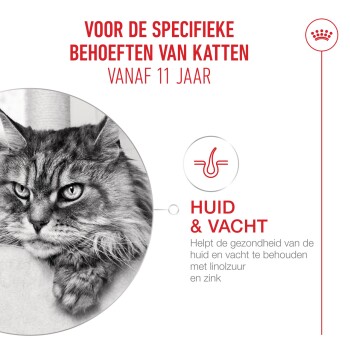Grijze gestreepte kat met tekst "Voor de specifieke behoeften van katten vanaf 11 jaar," met nadruk op huid- en vachtgezondheid.