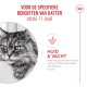 Grijze gestreepte kat met tekst "Voor de specifieke behoeften van katten vanaf 11 jaar," met nadruk op huid- en vachtgezondheid.