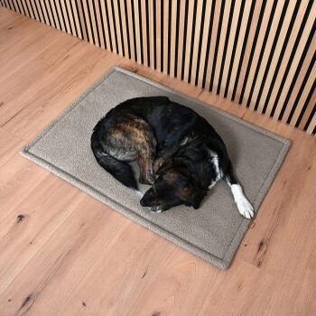 Ein schwarzer und brauner Hund, der auf einer weichen, hellgrauen Haustiermatte zusammengerollt schläft.