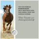Ein galoppierendes braunes Pferd auf einem Schotterweg, mit Text, der eine schnelle Genesung nach Insektenstichen, Zerrungen und Sport fördert.