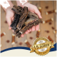 Zwei Glasbehälter mit Haustierleckereien, einer aufrecht und einer umgekippt, mit einem rosa Haustierbett und einem Seilspielzeug im Hintergrund.