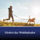 Person joggt mit Hund an der Leine über einen grasbewachsenen Hügel bei Sonnenaufgang; sichtbarer Text: “Fördert das Wohlbefinden”.