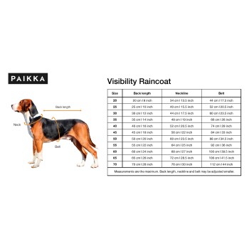 Ein Beagle steht neben einem Diagramm für einen Sichtbarkeitsregenmantel, das mit Maßen für Rückenlänge, Halsauschnitt und Gürtelgrößen beschriftet ist.