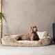 Ein entspannter grauer Hund liegt auf einem plüschigen, runden Hundebett in einem modernen Raum mit einer Betonwand und einer grünen Pflanze in der Nähe.