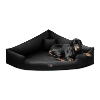 Ein schwarzer Hund, der auf einem großen, schwarzen Hundebett mit erhöhten Rändern und einem kleinen Kissen entspannt, das Komfort und Stil zeigt.