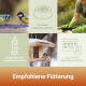 Vögel, die aus Futterspendern fressen, mit deutschem Text, der freien Zugang empfiehlt, das Servieren in Spendern oder Nistkästen und regelmäßiges Entfernen leerer Schalen.