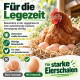 Zwei flauschige gelbe Küken picken den Boden in einer warmen Umgebung, mit "NATÜRLICHE HALTUNG für glückliche Hühner" in grün darunter.