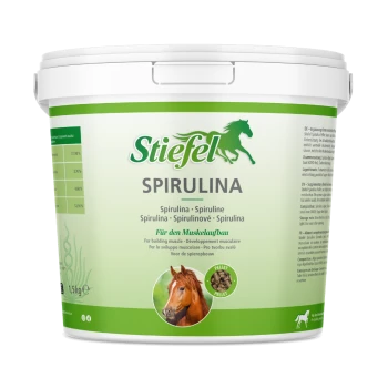 Behälter mit Stiefel Spirulina-Pellets für Pferde, zeigt das Gesicht eines braunen Pferdes und grüne Akzente, die Aminosäuren und Muskelunterstützung betonen.