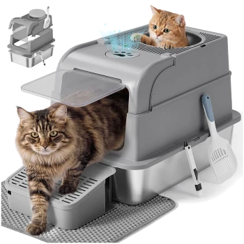 Grau überdachte, haubenförmige Katzentoilette mit Pfotenöffnung an der Oberseite, braun-getigerte Katze verlässt sie, ein rötliches Kätzchen lugt von oben heraus, Schaufel und Matte.