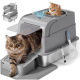 Grau überdachte, haubenförmige Katzentoilette mit Pfotenöffnung an der Oberseite, braun-getigerte Katze verlässt sie, ein rötliches Kätzchen lugt von oben heraus, Schaufel und Matte.