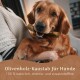 Ein Golden Retriever hält einen Olivenholz-Kauspielzeug, während er von einer Person in einem gemütlichen Pullover umarmt wird. Text: "100% natürlich, chemiefrei."