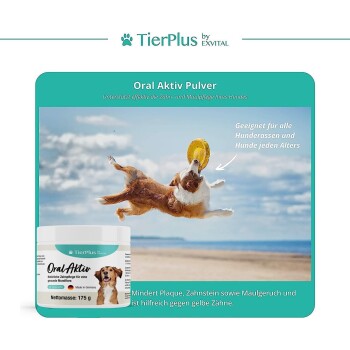 Ein verspielter Hund springt mit einem gelben Frisbee neben 'Oral Aktiv Pulver' für die Zahnpflege, das Vorteile für alle Rassen und Altersgruppen hervorhebt.