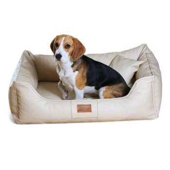 Beagle sitzt in beigem Leder-Haustierbett mit Kissen, vorne beschriftet mit „tierland.de“.