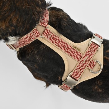 Nahaufnahme eines Hundes, der ein beiges Geschirr mit einem roten geometrischen Muster trägt, das die verstellbaren Riemen und die Metallschnalle zeigt.