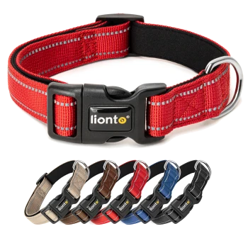 Rote Haustierhalsband mit reflektierenden Streifen, mit einer schwarzen Schnalle und einem metallenen D-Ring, beschriftet mit "lionto."