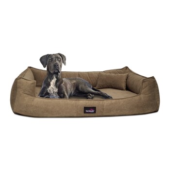® BRUCE VELOURS Orthopädisches Hundebett Soft hellbraun 1,1 m, 25 cm, 90 cm