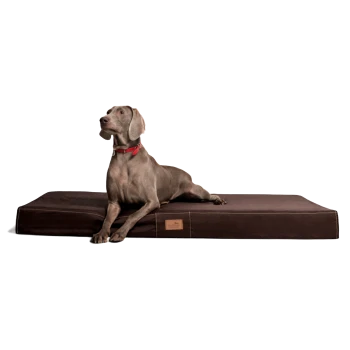 Ein grauer Weimaraner-Hund mit rotem Halsband liegt auf einem großen, dunkelbraunen Haustierbett und schaut aufmerksam zur Seite.
