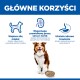 Pies z miską krokietów pod polskim nagłówkiem 'GŁÓWNE KORZYŚCI' i trzema ikonami: mięśnie, serce/nerki, trawienie.