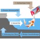 Infografik, die die Vorteile von hochwertigem Koi-Futter zeigt: verbesserte Wasserqualität, weniger Abfall, Entlastung des Filters und gesündere Koi.