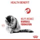 Hairball Care 4 kg