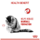 A gray cat grooming itself, with text stating "HEALTH BENEFIT" and "HELPS REDUCE HAIRBALL FORMATION" in bold red letters.