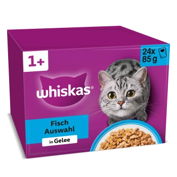 Lila Whiskas Katzenfutterverpackung mit Katzenbild und Futterschale; Text: '1+', 'Whiskas', 'Fisch Auswahl', 'in Gelee', '24x 85g'.