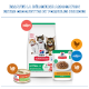 Hill's Science Plan pour chatons : sac avec trois chatons, sachet humide et boîte, montrant « CHATON <1 ».