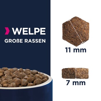 Hundefutter-Kibble für große Rassenwelpen, zeigt zwei Größen: 11 mm hexagonales Stück und 7 mm rechteckiges Stück, mit dem Text "WELPE GROSSE RASSEN."