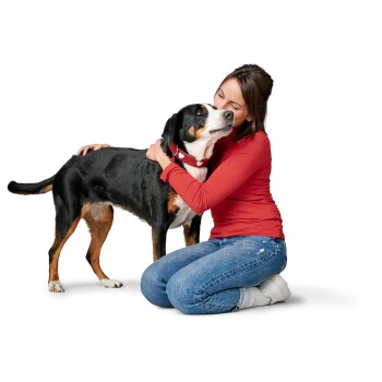 Eine Frau in einem roten Langarmshirt kniet neben einem schwarz-braunen Hund und teilt einen freudigen Moment miteinander.