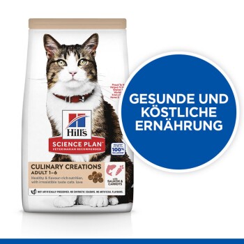 Sac de nourriture pour chats Hill's Science Plan Culinary Creations avec un chat tigré, avec le texte "GESUNDE UND KÖSTLICHE ERNÄHRUNG" dans un cercle bleu.