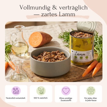 Bild, das FAVLY-Hundefutter mit herkömmlichem Hundefutter vergleicht und Vorteile wie frische Zutaten und Transparenz bei der Kennzeichnung hervorhebt.