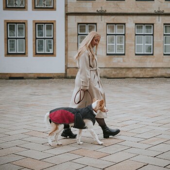 Eine Frau in einem beigen Mantel führt einen kleinen Hund, der eine schwarz-rote Jacke trägt, auf einer Kopfsteinpflasterstraße, mit Gebäuden im Hintergrund.
