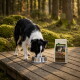 Border collie noir et blanc mangeant dans une gamelle en métal sur une terrasse en bois à côté d'un sac de nourriture pour chiens Wilderness étiqueté « BLACK EARTH »