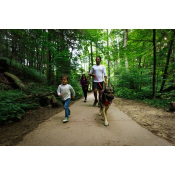 Eine Familie geht auf einem Waldweg mit einem Hund an der Leine; ein Kind läuft voraus, während ein Erwachsener ein Baby trägt.