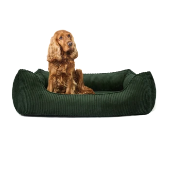 Grünes Corduroy-Hundebett mit erhöhten Rändern und einem plüschigen Innenraum, entworfen für Komfort und Stil.