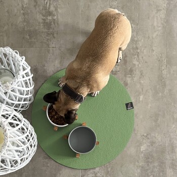 Ein Hund frisst Trockenfutter aus einer weißen Schüssel auf einer grünen Matte, mit einer leeren Schüssel und dekorativen weißen Körben im Hintergrund.