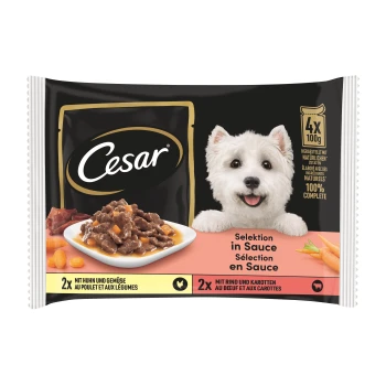 Emballage de nourriture pour chiens Cesar présentant une assiette de viande avec des carottes dans une sauce. Le texte met en avant "2x mit Huhn und Gemüse" et "2x mit Rind und Karotten."