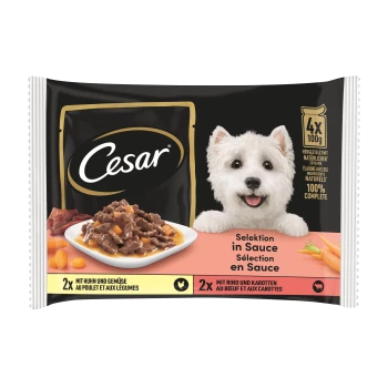 Cesar Hundefutterverpackung mit einem Teller Fleisch und Karotten in Sauce. Der Text hebt "2x mit Huhn und Gemüse" und "2x mit Rind und Karotten" hervor.