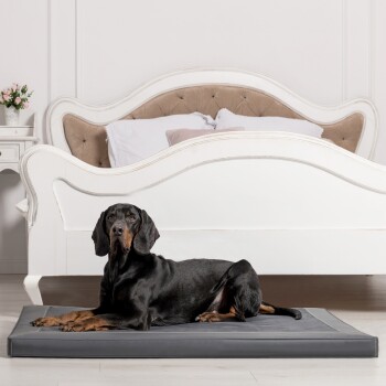 Ein schwarzer Dobermann liegt auf einem grauen Haustierbett in einem stilvollen Raum mit einem weißen, verzierten Bett und einer kleinen Vase mit Blumen auf einem Nachttisch.