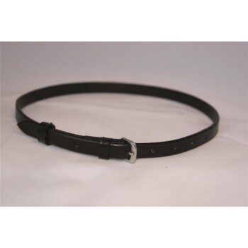 Schwarzes Leder-Haustierhalsband mit einer silbernen Schnalle und verstellbarem Riemen, auf einem weißen Hintergrund präsentiert.