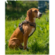 Größenguide für Hundegeschirre, der Messpunkte für Hals- und Brustumfang zeigt, mit Größenbereichen von S bis XL.