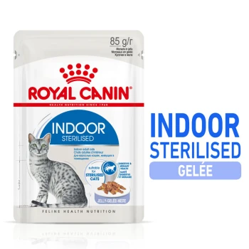 Indoor Sterilised Adult en gelée 12x85 g Pochette de nourriture pour chats Royal Canin Indoor Sterilised, présentant une illustration de chat tigré gris, étiquetée "85 g/r" et "INTERNAL STERILISED GELÉE."